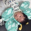 흔들림증후군 방지 엘비니 아기 목베개
