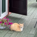 로뎀편백나무펜션 이미지