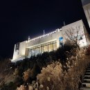 카페인사이트
