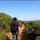 케이프타운 이미지