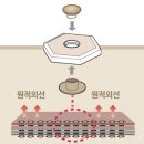 잠언의료기 | 잠언의료기 매트 내돈내산 후기 장단점 최저가 판매처 공유