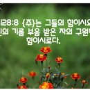 임마누엘 선교 편지 기도문 이미지