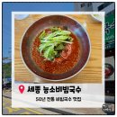 [세종맛집] 세종 능소비빔국수 소정본점 내돈내산 솔직후기