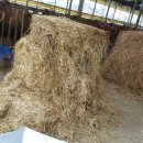 춘수농장 이미지