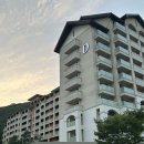 홍천 소노벨비발디파크 D동 숙소 숙박 후기 체크인, 오션월드패키지