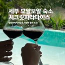 (주)파라다이스포인트 | 세부 모알보알 숙소 시크릿파라다이스 내돈내산 솔직후기