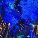 오로라핑크 이미지