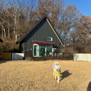 더 레이크 서지 | [여행 숙소 후기] 더레이크서지_군산 독채 애견 동반 가능 펜션 (호수 뷰 / 개별 마당)