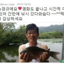 모드스토어