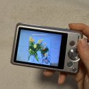 180 | 빈티지카메라 카시오 엑슬림 EX-ZS180 OxO 구매후기 +작례