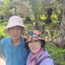 한림공원 이미지