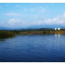 양양5일장 이미지