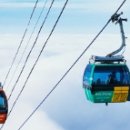 발왕산 관광케이블카 코스 이미지