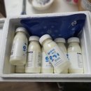 요거트 추천) 유산균이 가득한 수제 요거트, &#39;야베스 요거드세요&#39; + 요거트 맛있게 먹기 꿀팁!