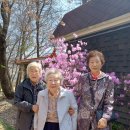 태봉농장가든 이미지