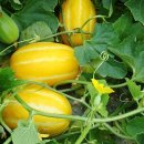 부평공원 이미지