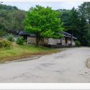 파주삼릉점 | 파주 삼릉(坡州 三陵)