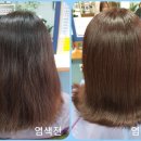 염색팡팡 이미지