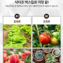 벅스킬
