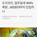 도지코인 , 일주일새 '494% 폭등'...600원대까지 진입하나 이미지