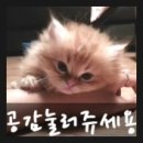 인계동 1046-10 이미지