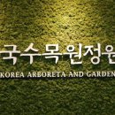39 이미지