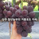 애그리팜 네이버블로그
