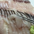 마포유통