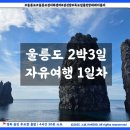 빅마트99 앞 | 무더운 7월 여름 휴가철 울릉도 2박 3일 자유여행 1일차 후기 및 꿀팁 정보