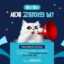 금고양이 이미지