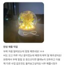플레뉴이 이미지
