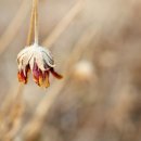 수레와바퀴 - 화성시 융건로 41-19 | 수레와바퀴