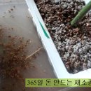 수경마트 이미지
