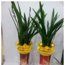 정암한의원 이미지