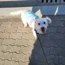 안정현동물병원 이미지