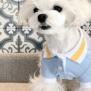 블루썬데이 이미지