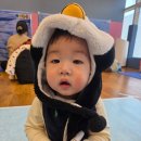 이마트 동탄점 | 이마트 문화센터 동탄점 애기똥풀 수업 솔직 후기