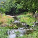 산머루산장 이미지