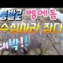 벵에돔 낚시 (Opaleye Fishing)