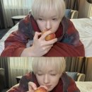 물오름달 이미지