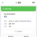 해피니스 | 도피,표선 당포로나인 돈까스,표선해수욕장,조천 해피니스펜션,감사공묘역 겹벚꽃,몰돗 말고기 스페셜🐴🐎