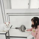 그루밍친친 이미지