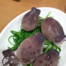 보성산쭈꾸미 네이버블로그