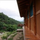 머루와 다래 이미지