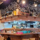 서서자는물고기 이미지