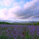 월은농장 이미지