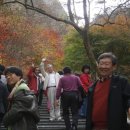 21 이미지