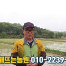 해뜨는농원 이미지