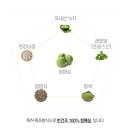 프롬안스