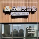 모랑펫살롱 이미지